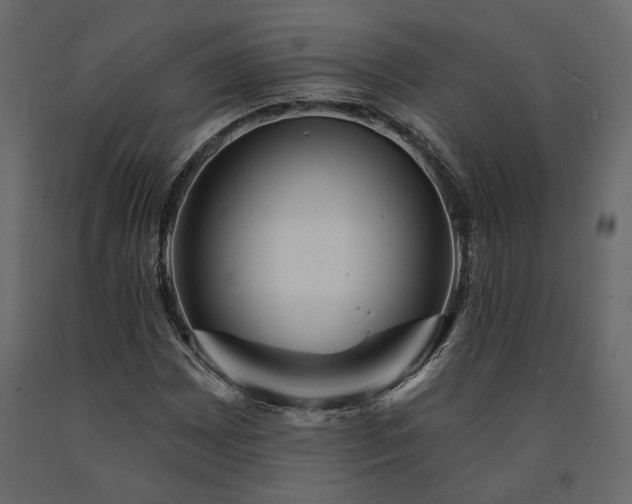 X0000091531065200708241707