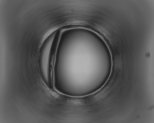 X0000091531066200708241707