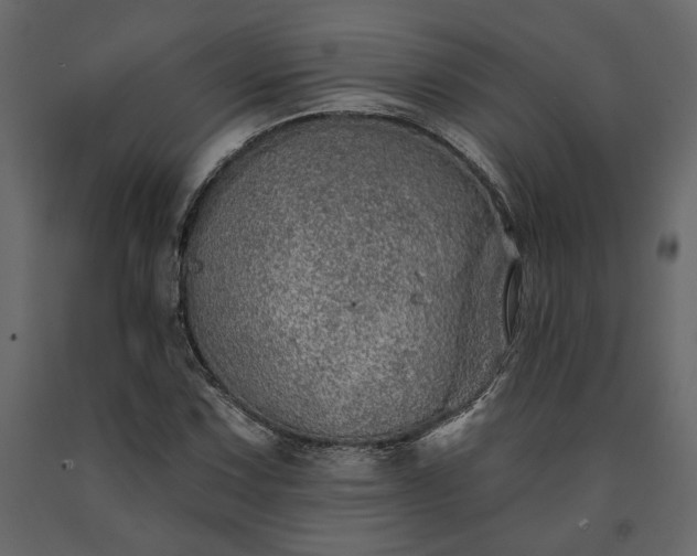 X0000091531067200708241707