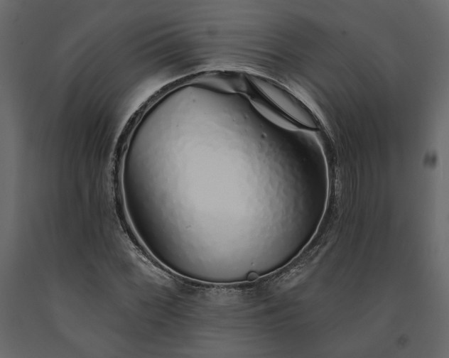 X0000091531068200708241707