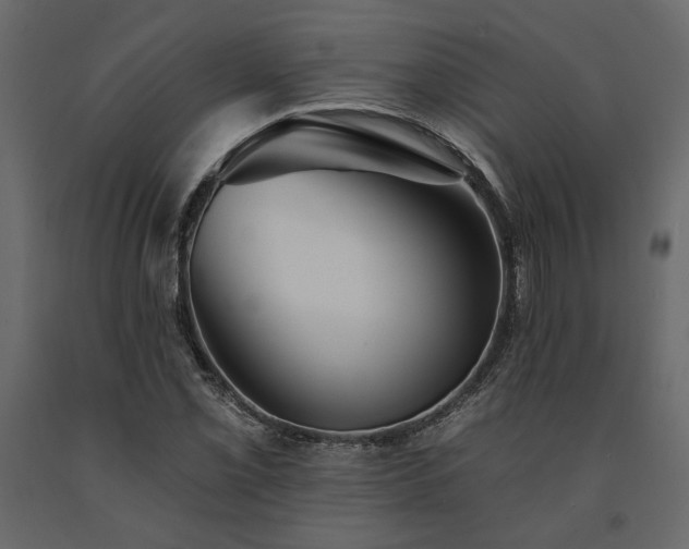 X0000091531069200708241707