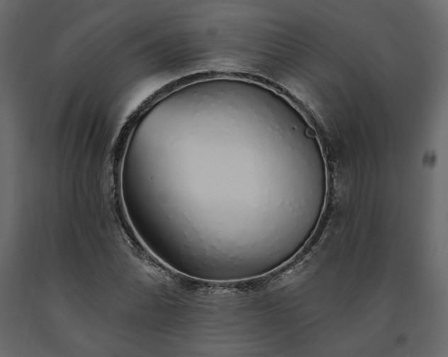 X0000091531070200708241707
