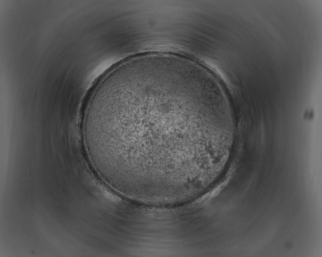 X0000091531071200708241707