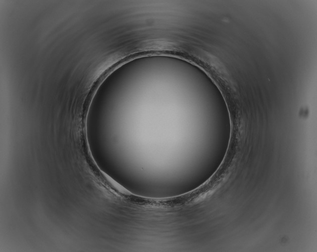 X0000091531073200708241707