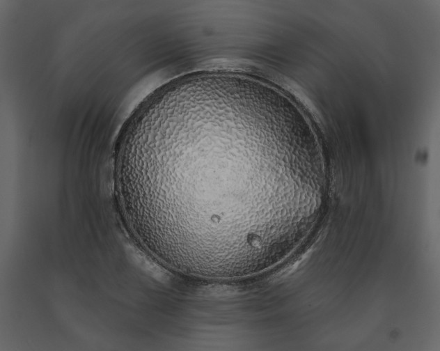 X0000091531075200708241706