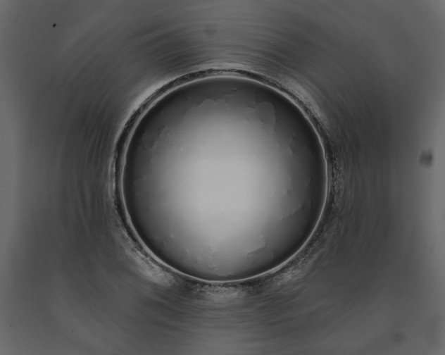 X0000091531076200708241706