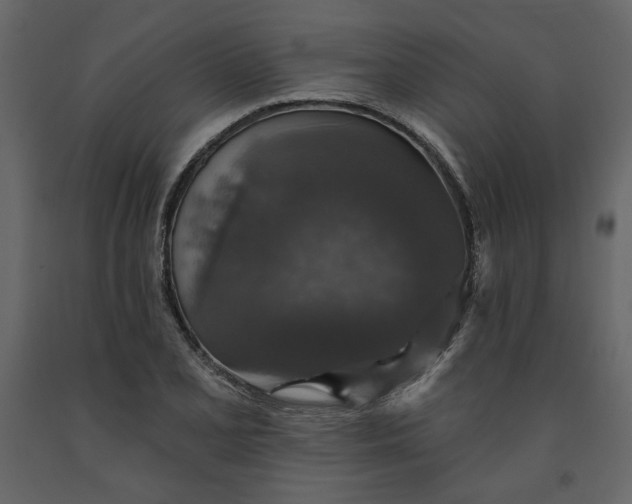 X0000091531077200708241706