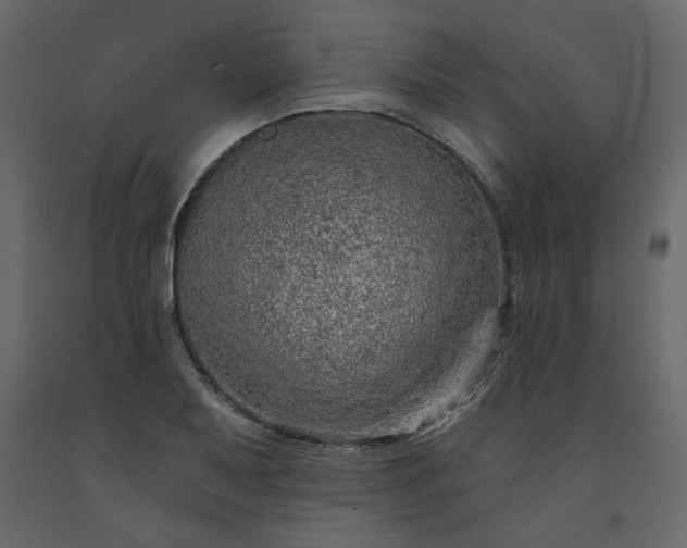 X0000091531079200708241706