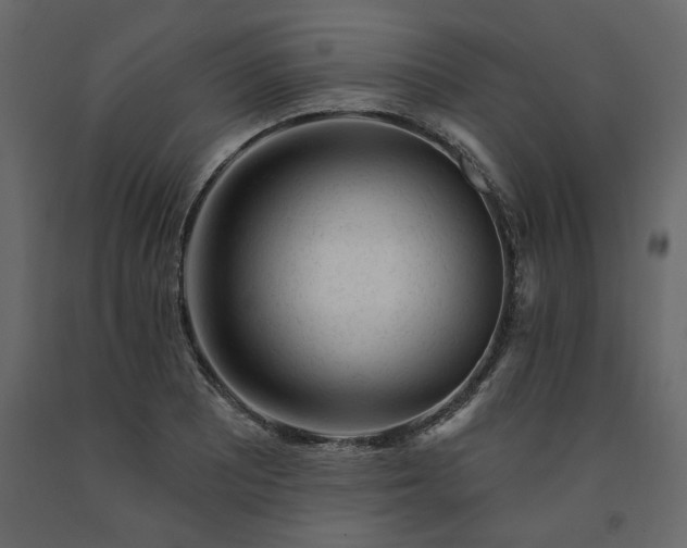 X0000091531081200708241706