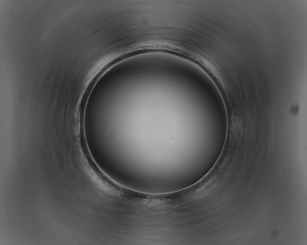 X0000091531082200708241706