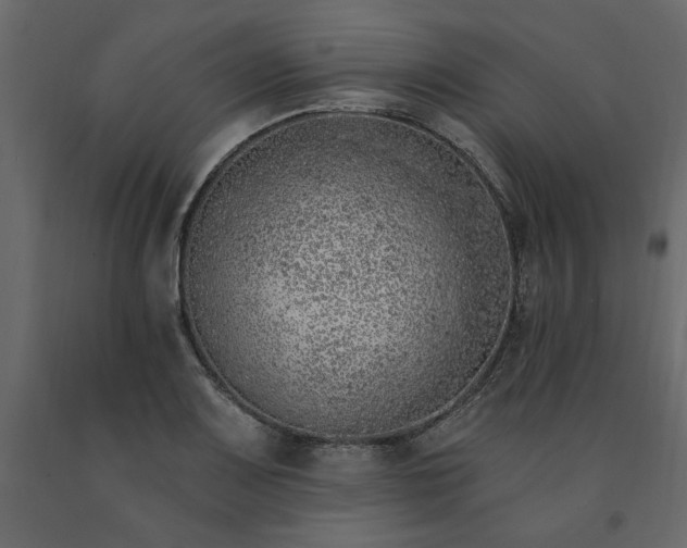 X0000091531083200708241706
