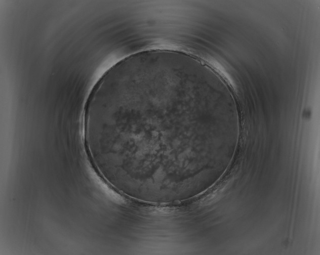 X0000091531084200708241706