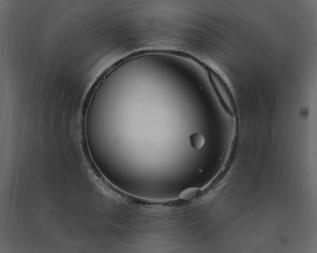 X0000091531085200708241706