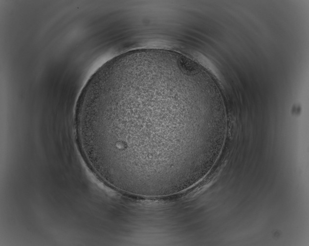 X0000091531087200708241706