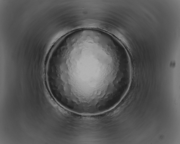 X0000091531088200708241706