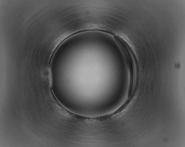 X0000091531089200708241706