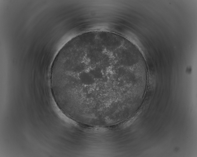 X0000091531090200708241706