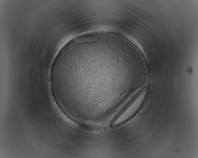 X0000091531091200708241706