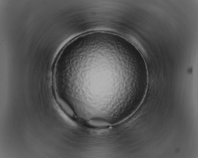 X0000091531092200708241706