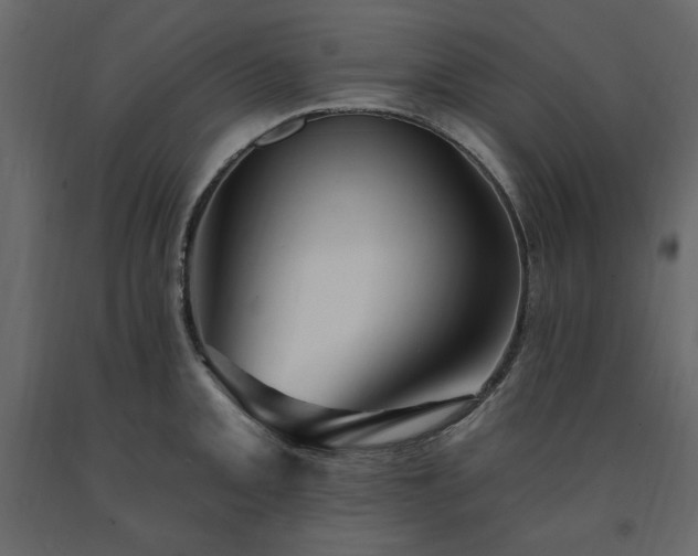 X0000091531093200708241706