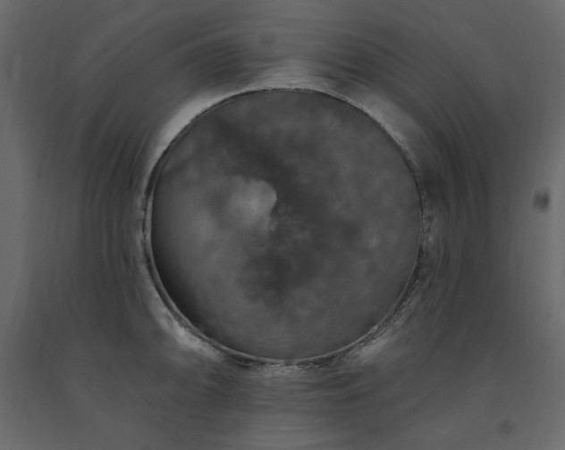 X0000091531094200708241706