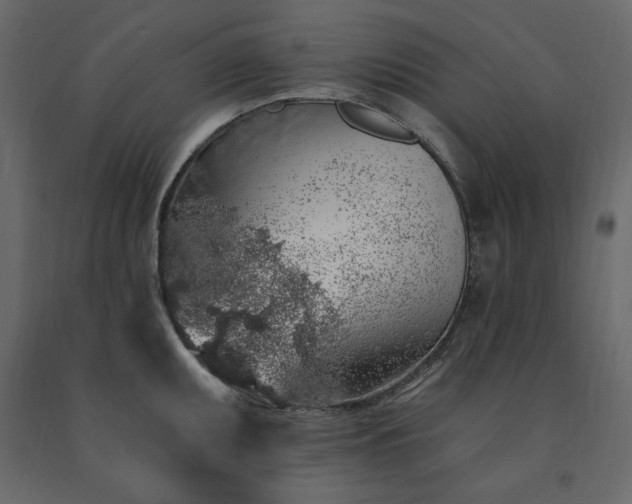 X0000091531095200708241706
