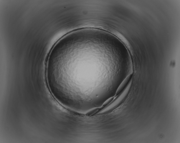 X0000091531096200708241706