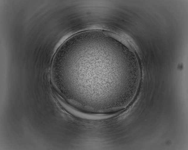 X0000091531097200708241706