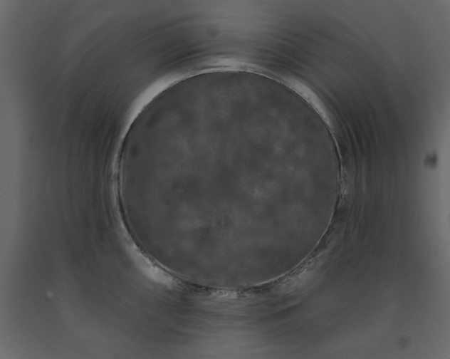 X0000091531098200708241706