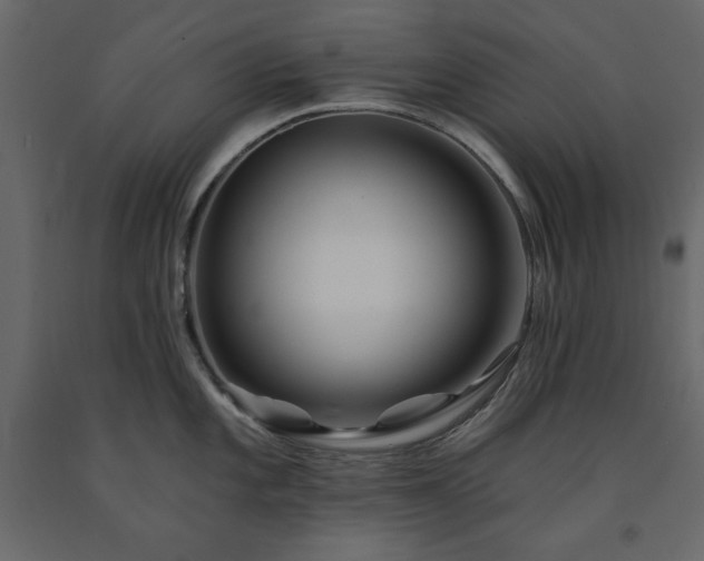 X0000091531101200708241706