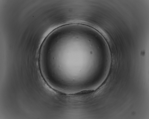 X0000091531102200708241706