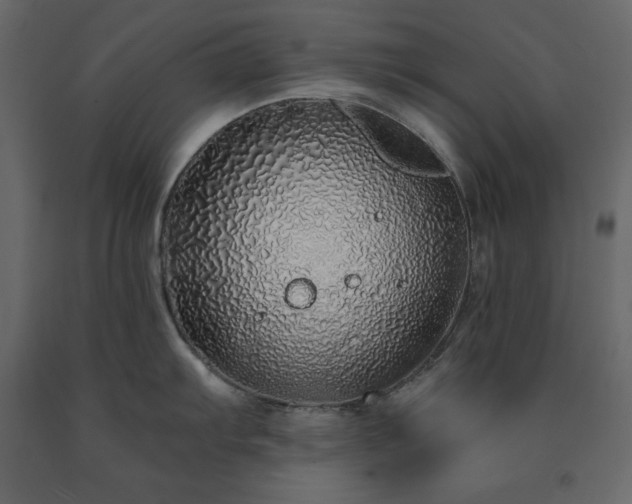 X0000091531103200708241706