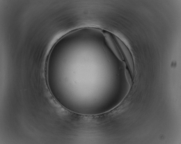 X0000091531104200708241706