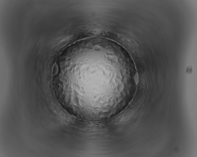 X0000091531105200708241705