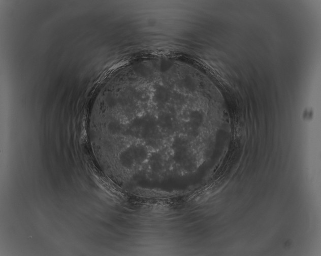 X0000091531106200708241705