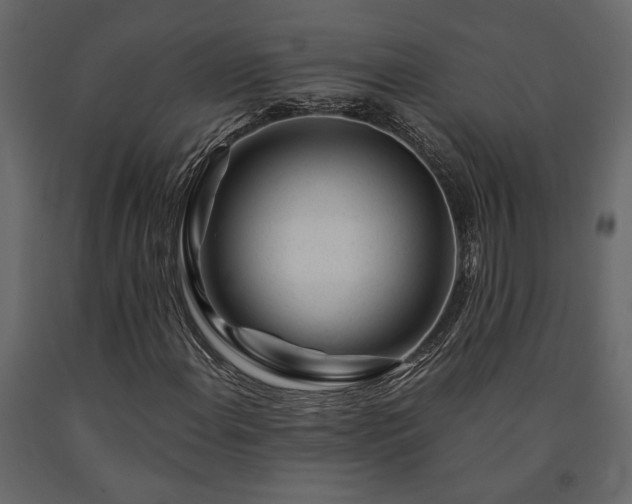 X0000091531108200708241705