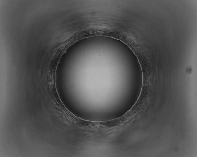 X0000091531109200708241705