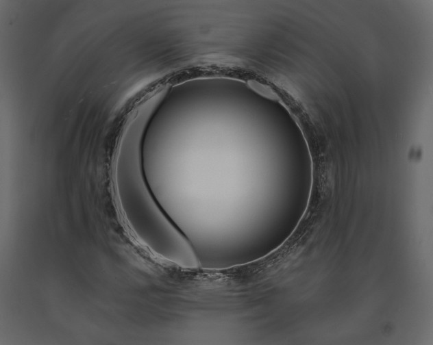 X0000091531112200708241705