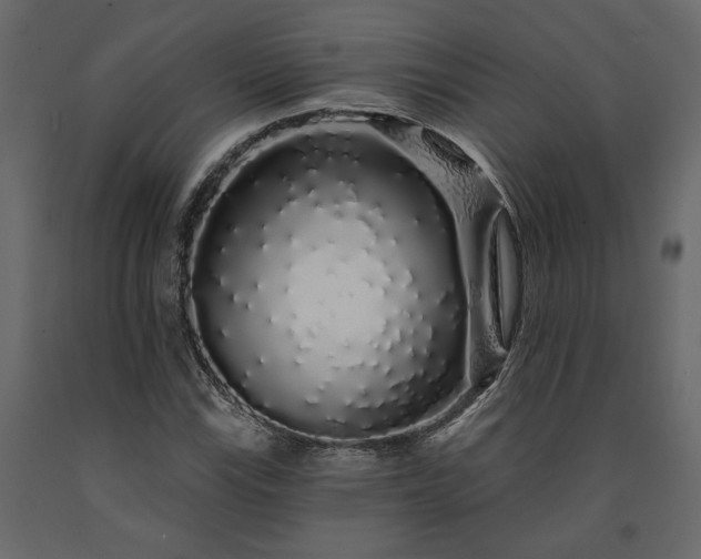 X0000091531115200708241705