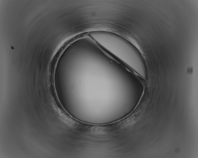 X0000091531116200708241705