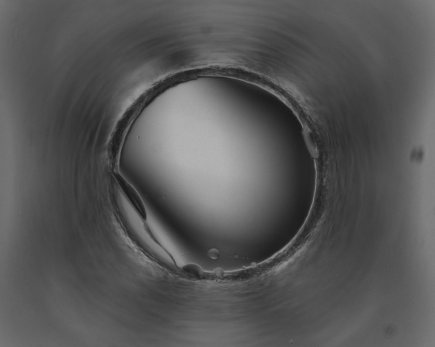 X0000091531118200708241705
