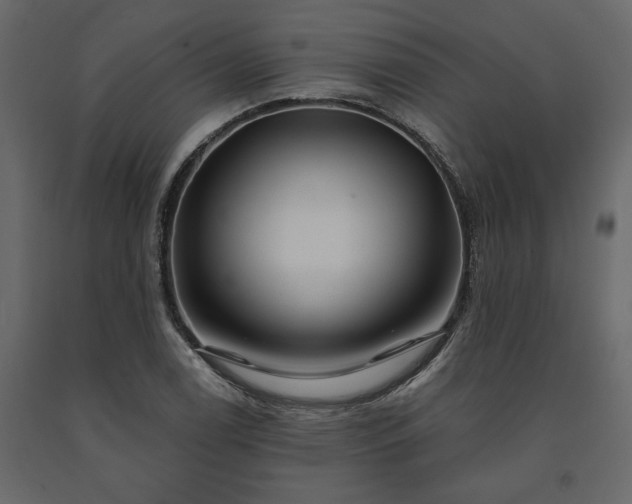 X0000091531122200708241705