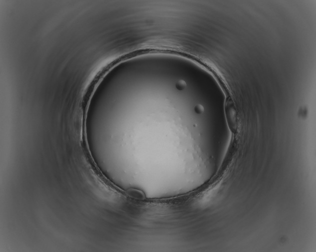 X0000091531123200708241705