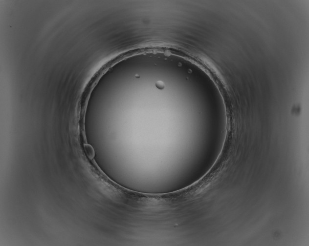 X0000091531124200708241706