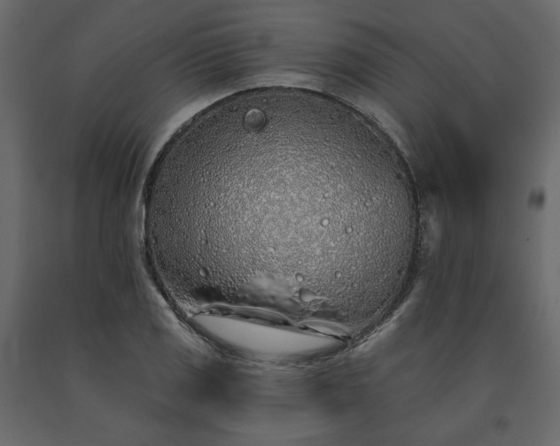 X0000091531125200708241706