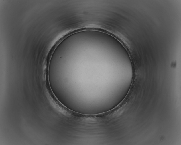 X0000091531126200708241706