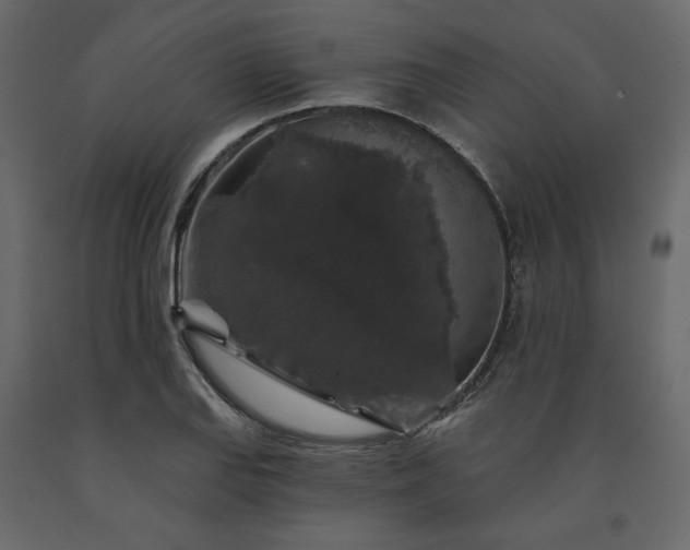 X0000091531127200708241706