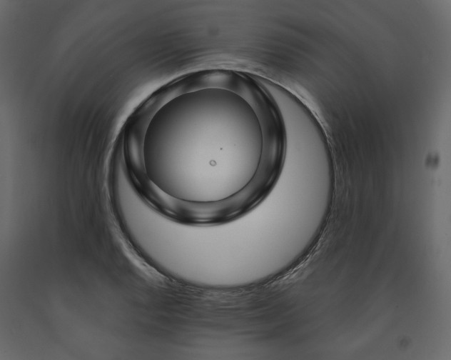 X0000091531128200708241706