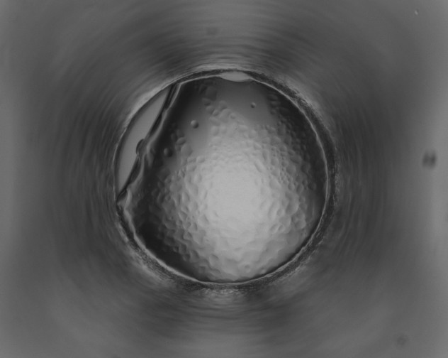 X0000091531129200708241706