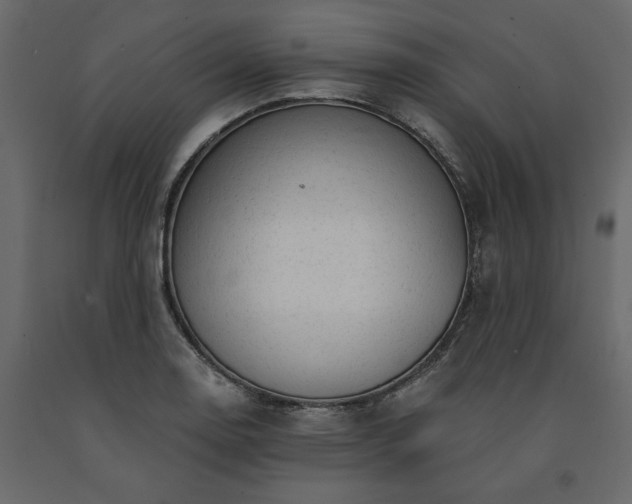 X0000091531130200708241706